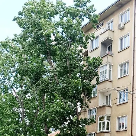 Beautiful Jewel In Center