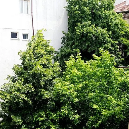 Beautiful Jewel In Center Sofia